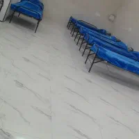 نیروی خانم