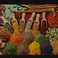 ادویه زاهدانی و پاکستانی وترشی انبه