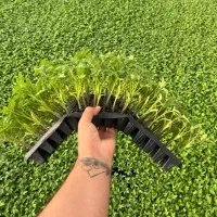 نشاء گوجه بادمجان و فلفل