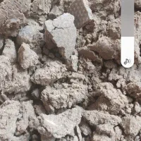 کنجاله ارده