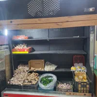 یخچال پرده هوا ۲ متری