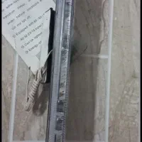 چراغ شیشه عقب ماشین