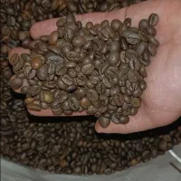 پخش قهوه به قیمت عمده