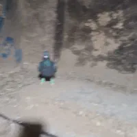 یک عدد زاغ بشرط