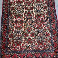 زرع ونیم بیجار