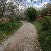 مزرعه-30هکتار-سند-تکبرگ