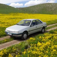 پژو۴۰۵|خودرو سواری و وانت|اردبیل, |دیوار