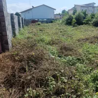 فروش زمین باغی حسن سرا