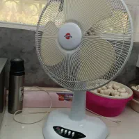 پنکه