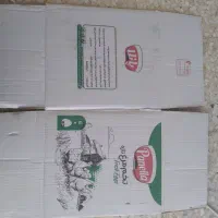 تعدادی کارتن تخم مرغ