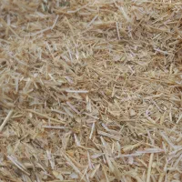 کاه گندم ، کاه دیم خوب
