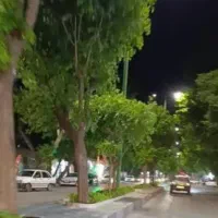 اجاره مغازه