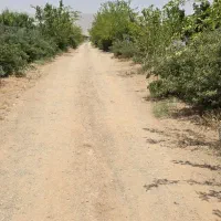 ۴ قطعه زمین باقی مانده از ۳۰ قطعه باغ شهری