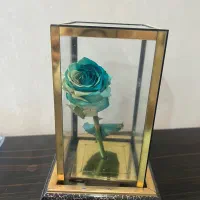 گل جادویی طبیعی با باکس شیشه ای