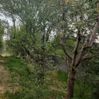 باغ روستای عارفی