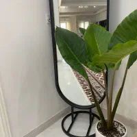 بابا آدم با گلدان