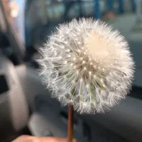 فروش خط ثابت تلفن شهرک