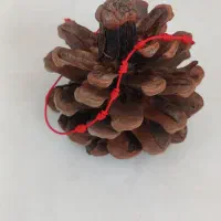 دستبند ۷ گره نمادی از انرژی مثبت و آرزوهای خوبتون