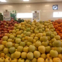 لطفا فقط کارگر وارد وکارکرده زنگ بزنه بدون مصرف
