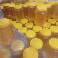 تولید وفروش مستقیم عسل