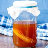 قارچ کمبوجا (SCOBY)