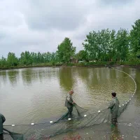 خرید فروش ماهی گرم آبی