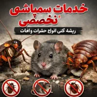 طعمه گذاری موش تضمینی