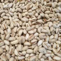فروش-باغ-پسته-موقعیت-تاپ