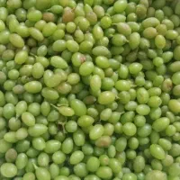 فروش قوره