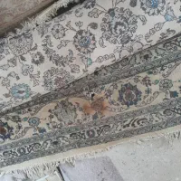 فرش|فرش|مشهد, کاظم آباد پنجشنبه|دیوار