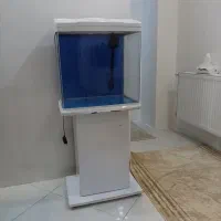 آکواریوم
