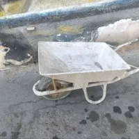 فرقون