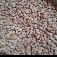 لوبیا چیتی