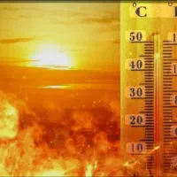 خوشبو کننده کفش و پای نانوسان آلمان