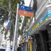 آموزش ساز وآواز ایرانی وجهانی