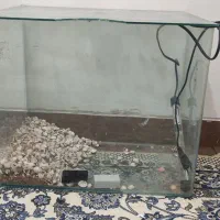 آکواریوم کوچک