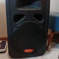 باند اکتیو مکس