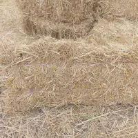 سرچینه|لوازم جانبی حیوانات|شاندرمن, |دیوار