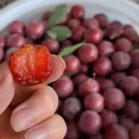 لواشک آلوچه قرمز