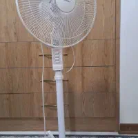 پنکه