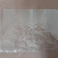 سلفون