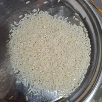 ۱۰۰کیلو برنج هاشمی خالص