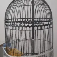 قفس پرنده