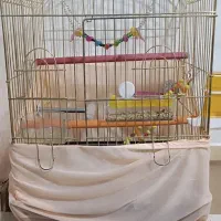 فروش قفس پرنده و متعلقات