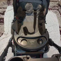 کالسکه دلیجان