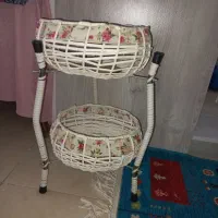 جا سیب زمینی و پیاز