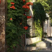 فروش-ویلایی-خاص-در-دشتستان-جنوبی-درب-ساخت