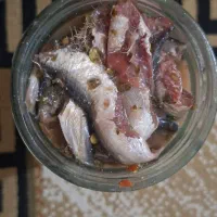 سور|ماهی|بندر کنگان, |دیوار