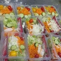 سالاد فصل و سبزی خوردن و سبزی برای سبزی خرد کنی