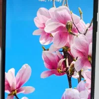 گوشی y8p